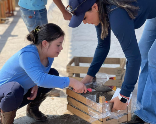 Talleres Ocupacionales
